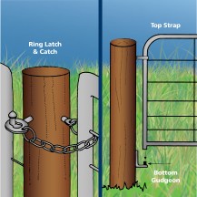 13786 - FG15 Ring Latch illustration 1200px